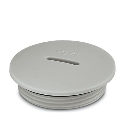 A-INSP-PG29-65N-P-LG - Tappo filettato