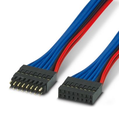 BSL-2,54/16-ST 40CM - Set di cavi