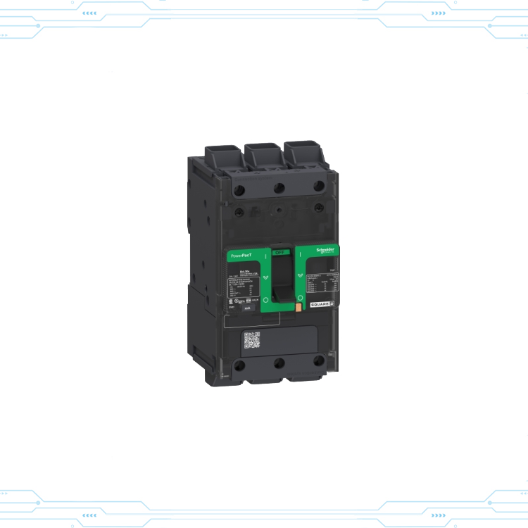 Interruttore Schneider BDL36045LU